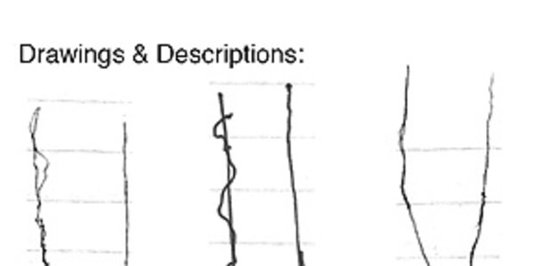 Article teaser image