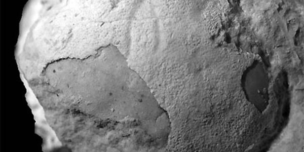 Article teaser image