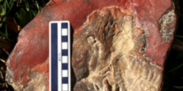 Article teaser image