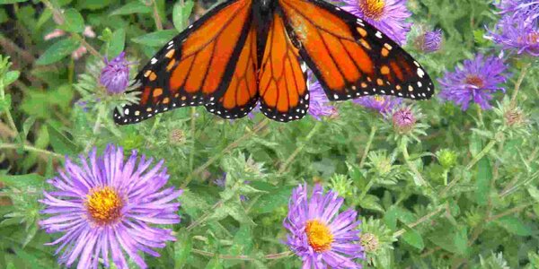 Article teaser image