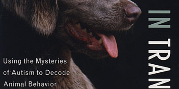 Article teaser image