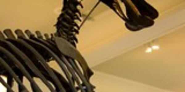 Article teaser image