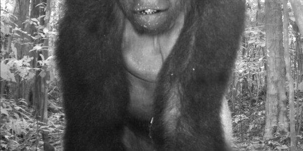 Article teaser image