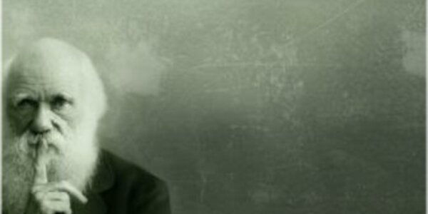 Article teaser image