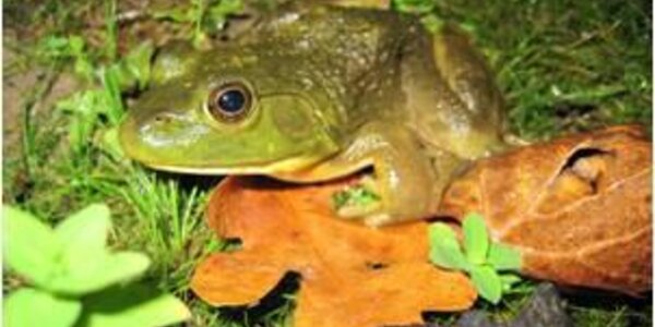 Article teaser image