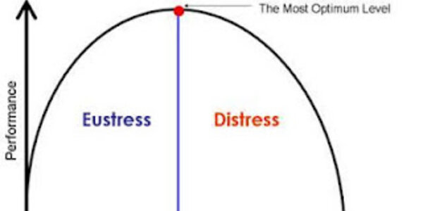 Article teaser image