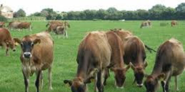 Article teaser image