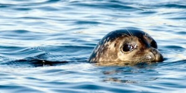 Article teaser image