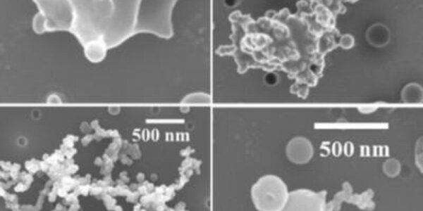 Article teaser image