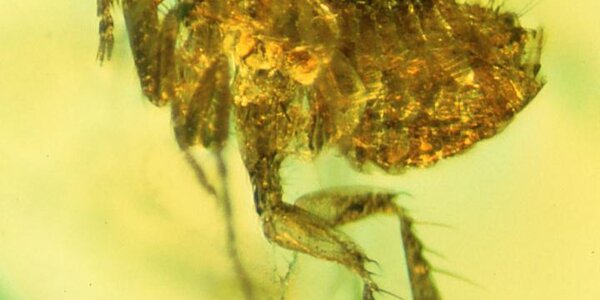 Article teaser image