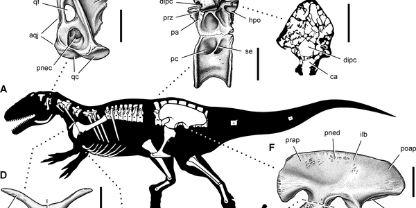Article teaser image