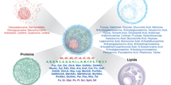 Article teaser image