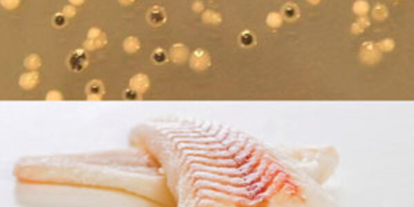 Article teaser image