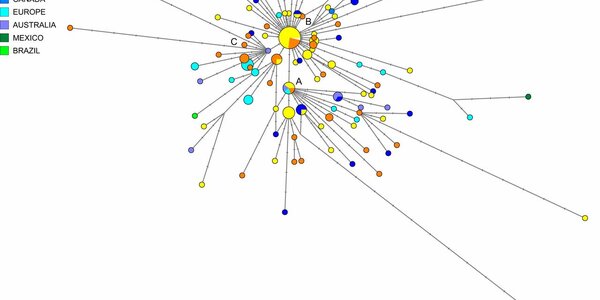 Article teaser image