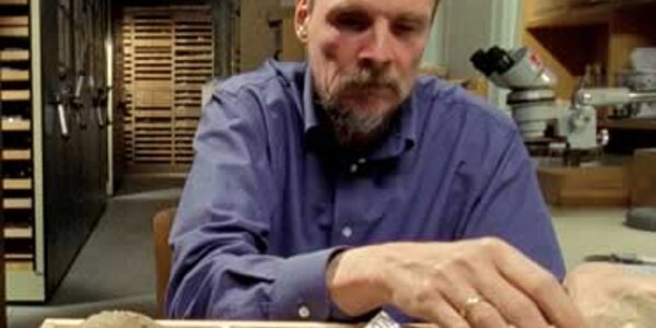 Article teaser image