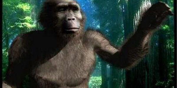 Article teaser image