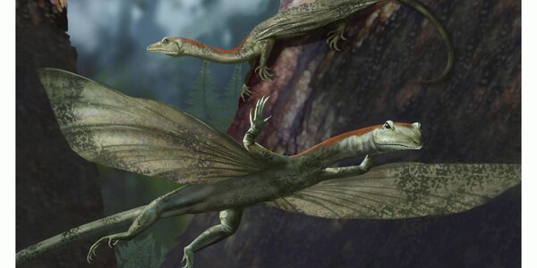 Article teaser image