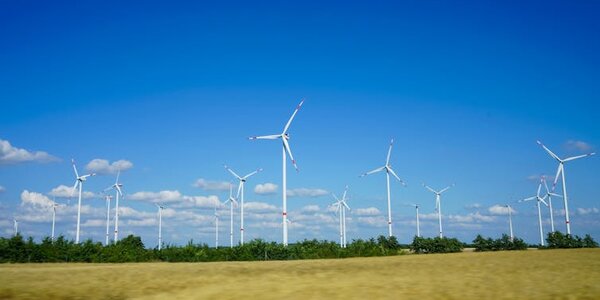 Article teaser image