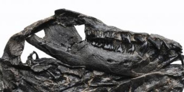 Article teaser image