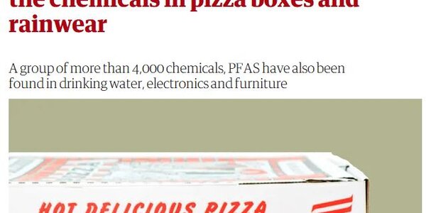 Article teaser image