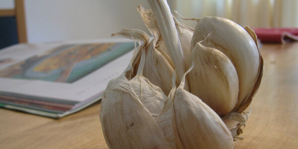 Article teaser image