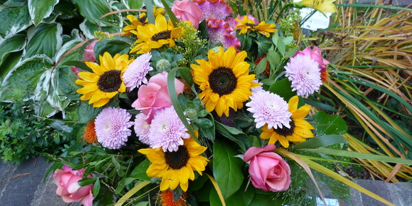 Article teaser image