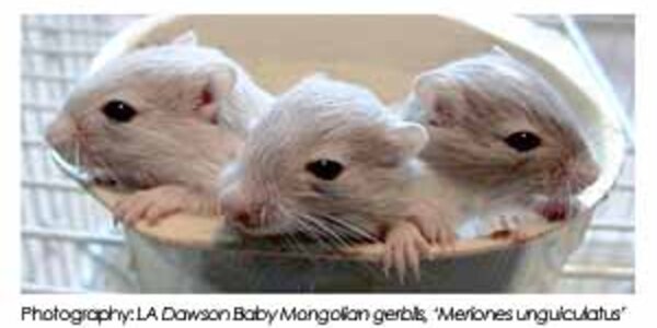 Article teaser image