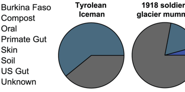Article teaser image