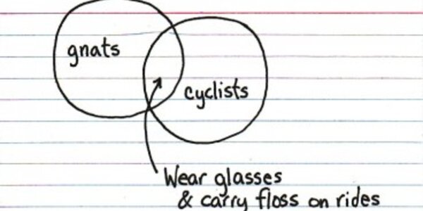 Article teaser image