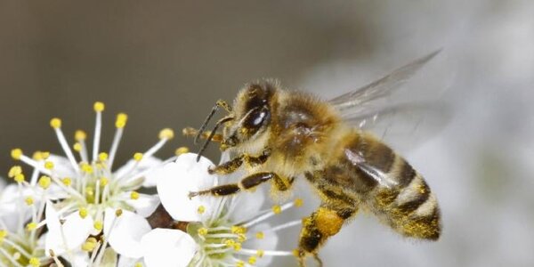 Article teaser image