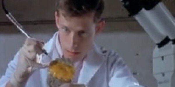 Article teaser image