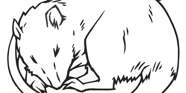 Article teaser image