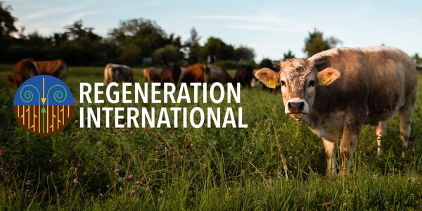 Article teaser image