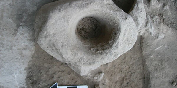 Article teaser image