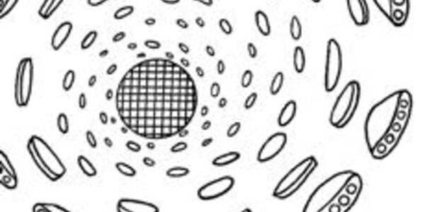 Article teaser image