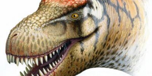 Article teaser image