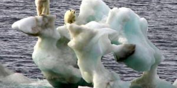 Article teaser image