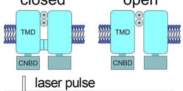 Article teaser image