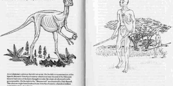 Article teaser image