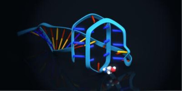 Article teaser image