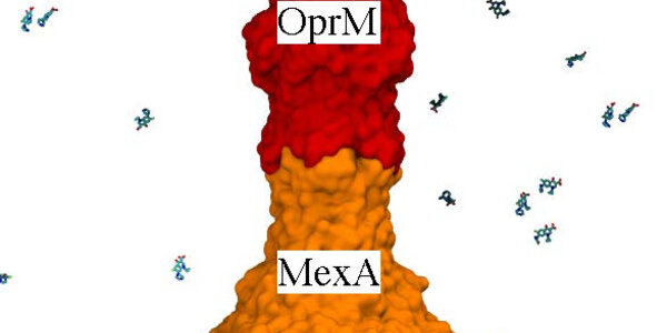 Article teaser image