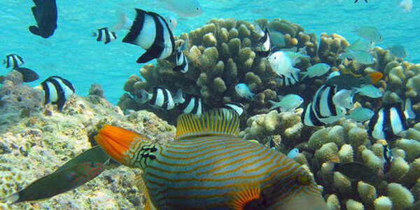 Article teaser image