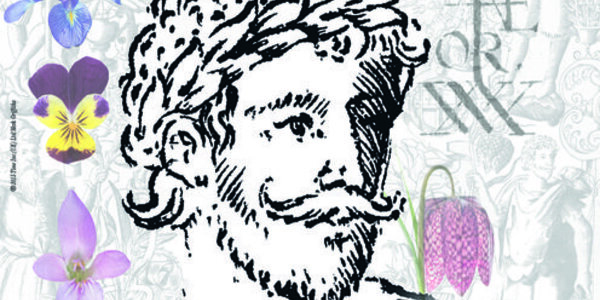 Article teaser image