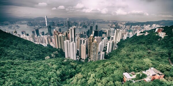 Article teaser image