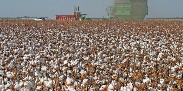 Article teaser image