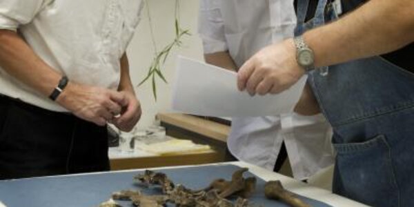 Article teaser image