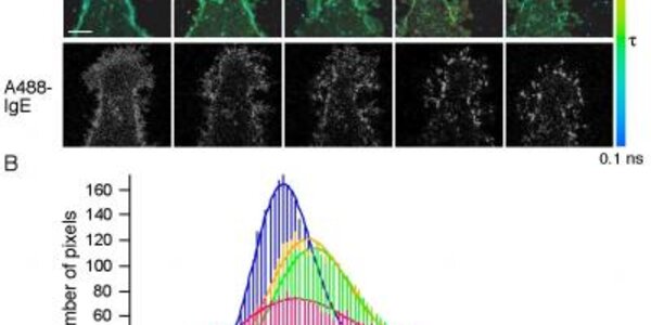 Article teaser image