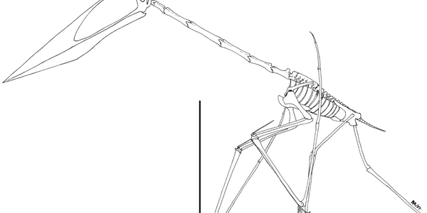 Article teaser image