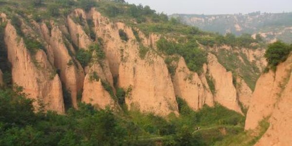 Article teaser image