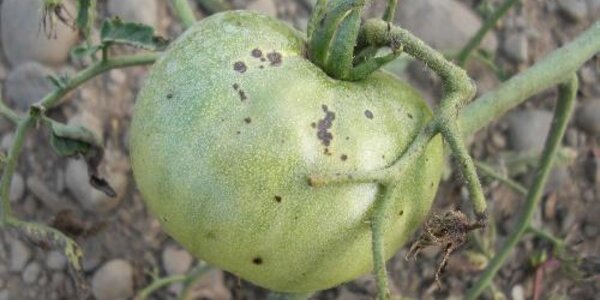 Article teaser image